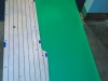 Draco_Bat_2020_033