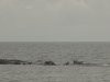 marsten_runt_2012-09-09_022