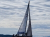 segling_orci_nm_2017-09-17_011