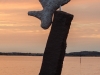 sailtrip_2013_073