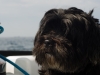 sailtrip_2013_129